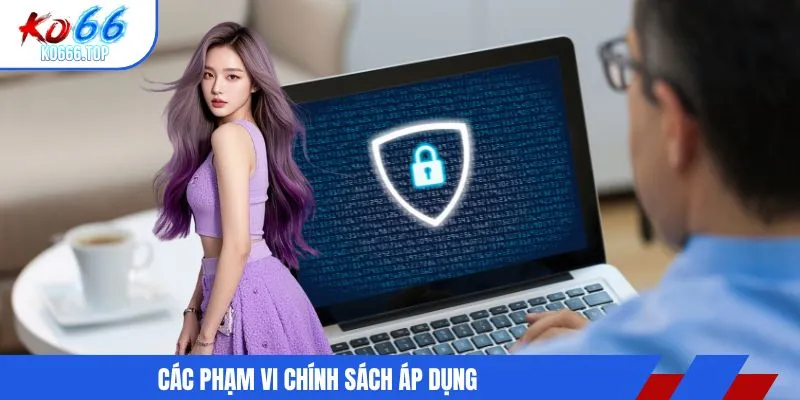 Các phạm vi chính sách áp dụng