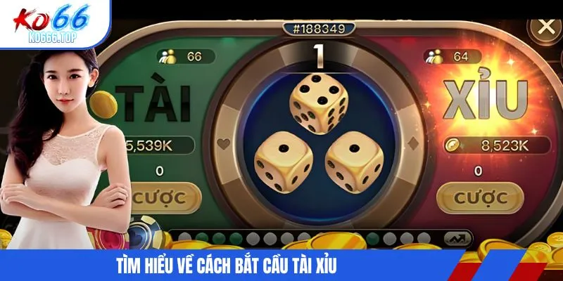 Tìm hiểu về cách bắt cầu tài xỉu 